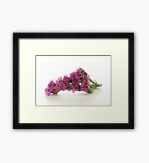 Purple Pink Wild Flower Framed Print