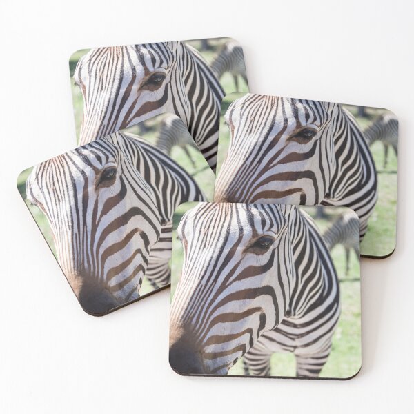 Aperçu de l'œuvre Zebra's Hello créée et vendue par PrettySickArt.