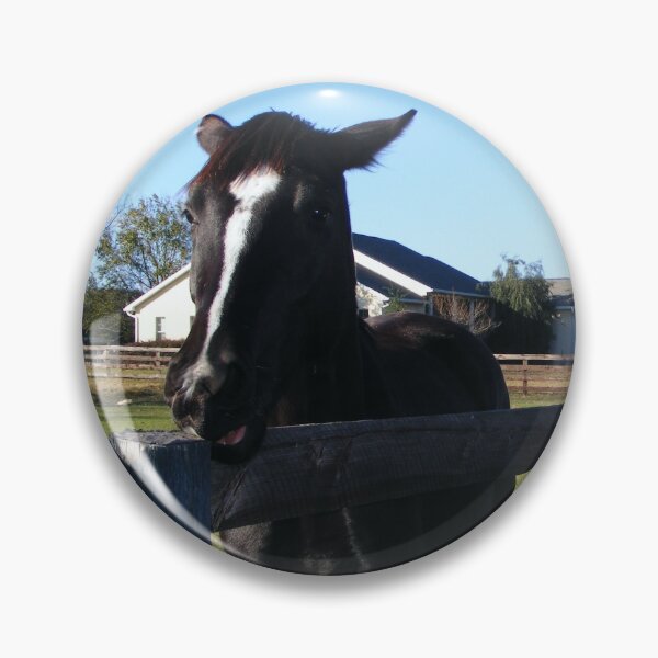 Item preview, Horse Scratches Itch designed and sold by kristalcurt.