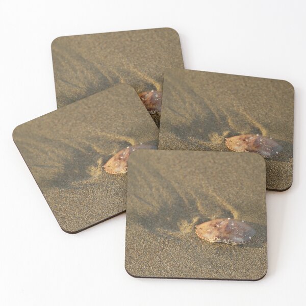 Item preview, Crab shell designed and sold by pulen.