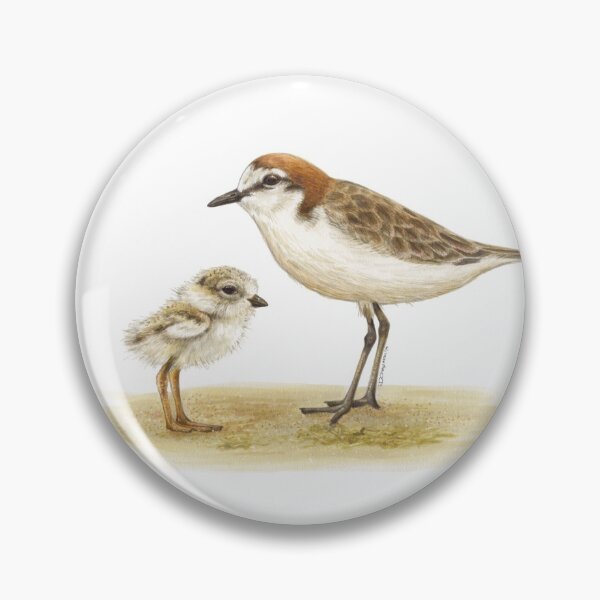Item preview, Red-capped plover designed and sold by RedCloudDesign.