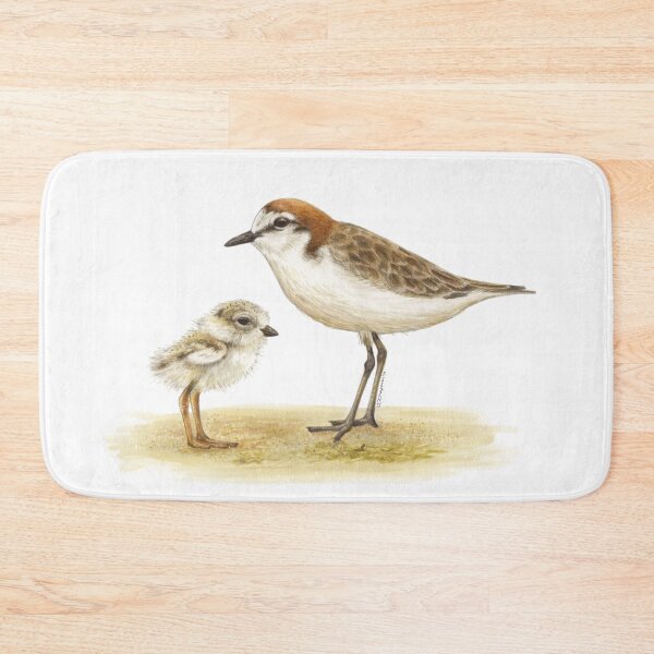 Item preview, Red-capped plover designed and sold by RedCloudDesign.