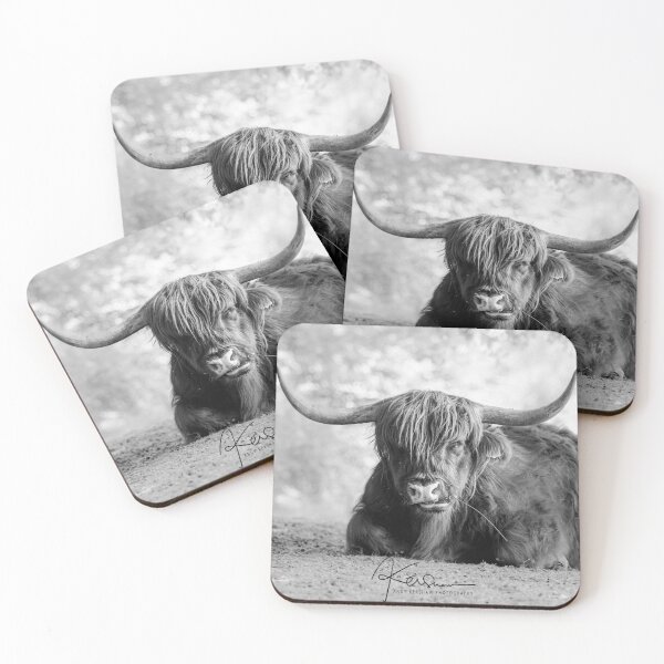 Item preview, Highland Cattle  - From England designed and sold by drumboy74.