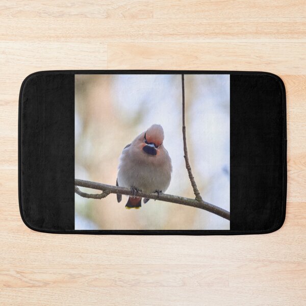 Item preview, Don't mess with me baby. Bohemian waxwing designed and sold by Jouko Lehto Photography.