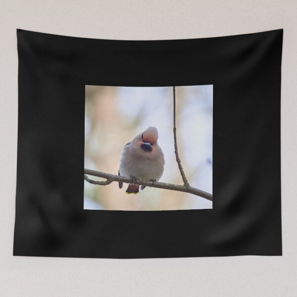 Item preview, Don't mess with me baby. Bohemian waxwing designed and sold by Jouko Lehto Photography.