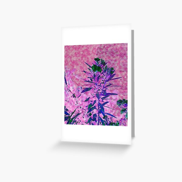 flower Greeting Card