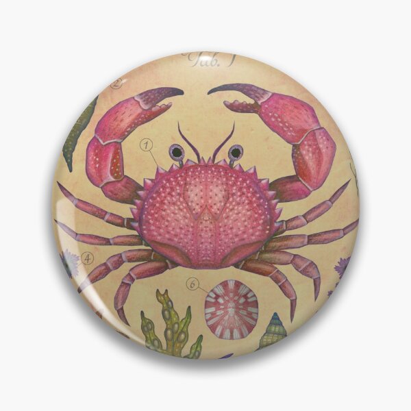 Item preview, Marine Life I designed and sold by Cabinet Of Curiosities by Vlad.