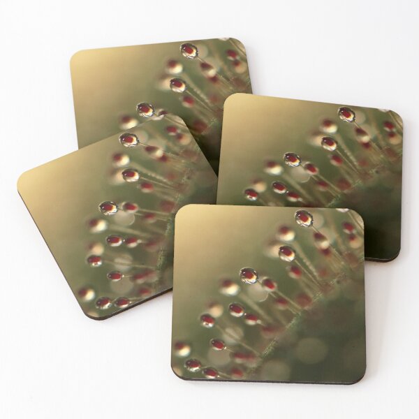 Item preview, Evening Sundew designed and sold by SharonJ.