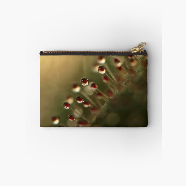 Item preview, Evening Sundew designed and sold by SharonJ.