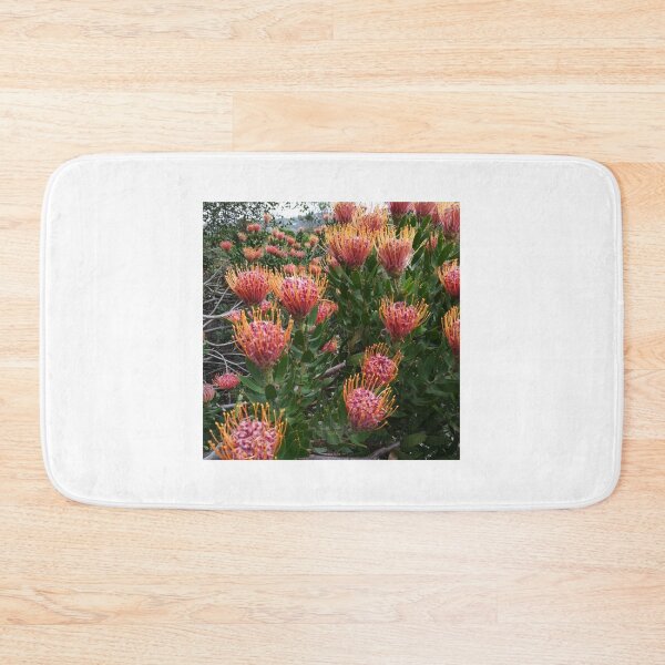 Item preview, Perfect Pincushion Proteas designed and sold by Jillalexa.