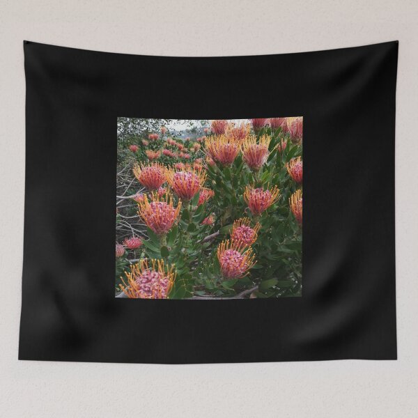 Item preview, Perfect Pincushion Proteas designed and sold by Jillalexa.