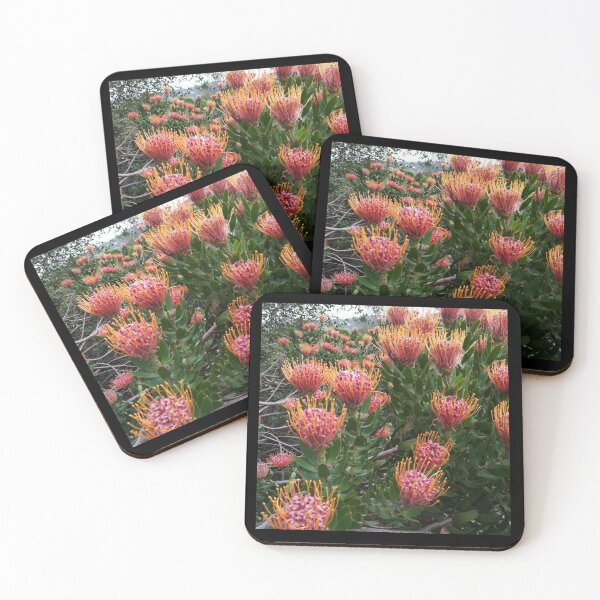 Item preview, Perfect Pincushion Proteas designed and sold by Jillalexa.