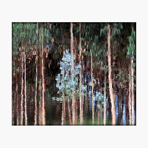 ~ Liquid Eucalypts ~ Photographic Print