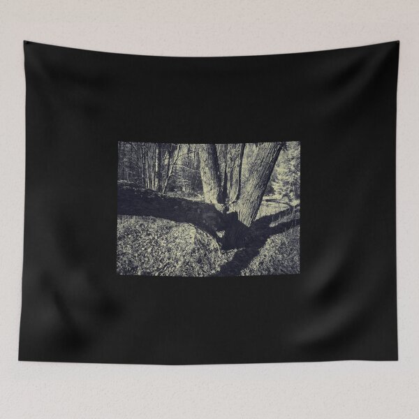Item preview, The old mapple ir designed and sold by Jouko Lehto Photography.