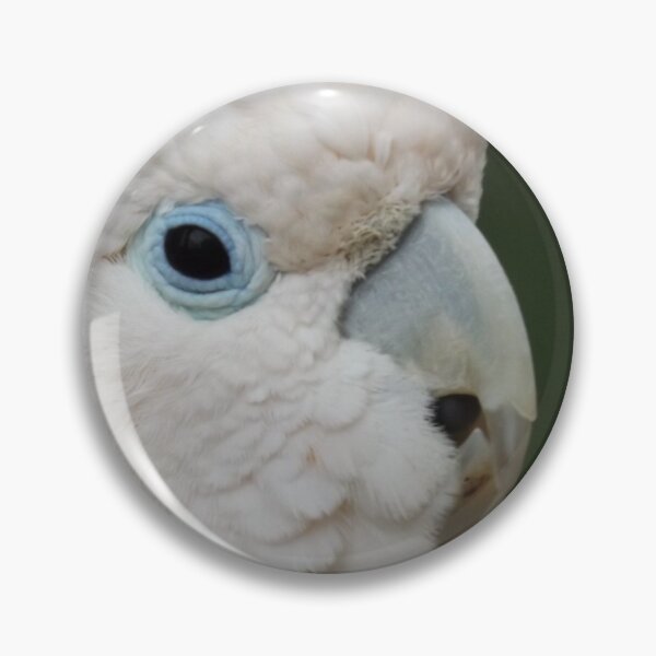 Item preview, Loro blanco de ojos azules designed and sold by derbyshireduck.