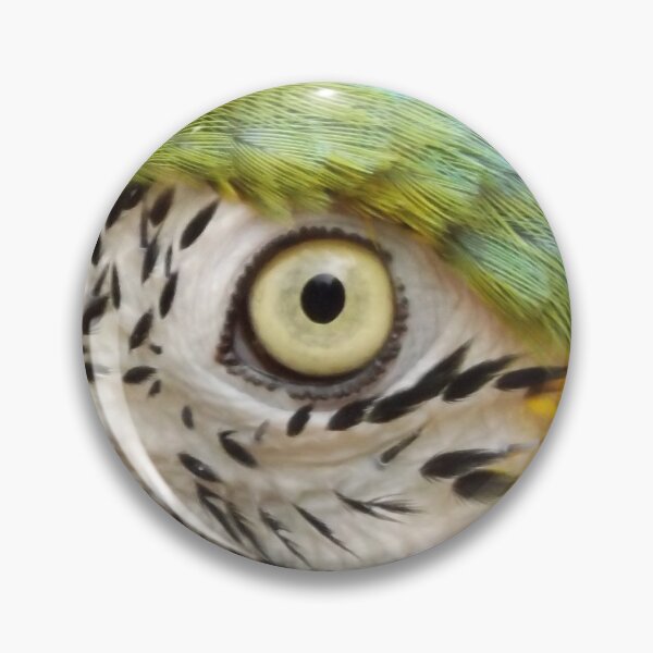 Item preview, Colourful Macaw profile designed and sold by derbyshireduck.