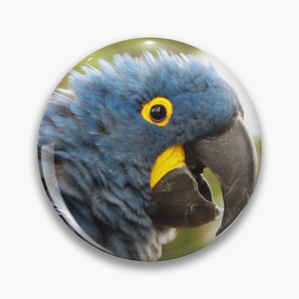 Item preview, Guacamayo mohawk! designed and sold by derbyshireduck.