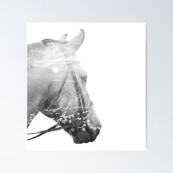 Item preview, Beautiful Horse Photography designed and sold by KACE Creative.