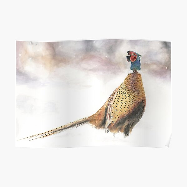 Pheasant in Snow Poster