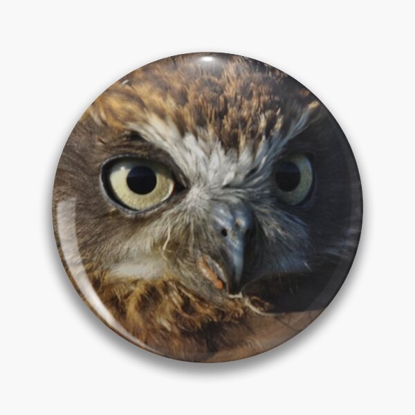 Item preview, Boobook owl designed and sold by derbyshireduck.