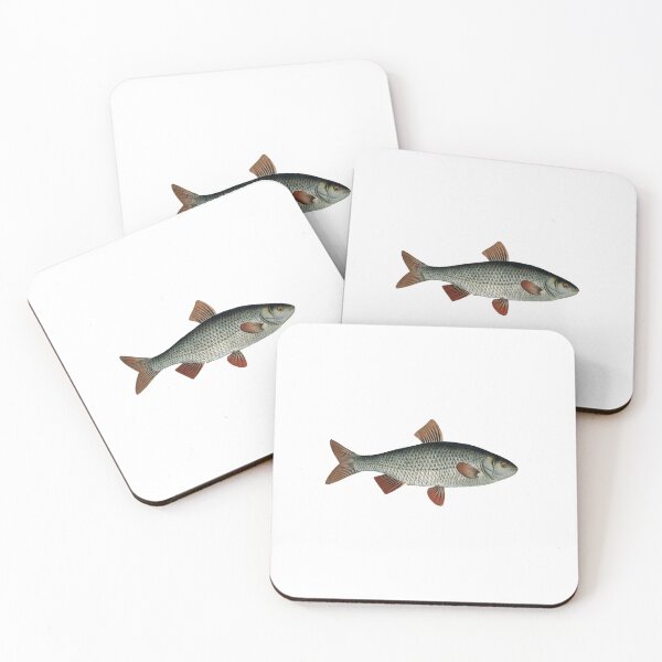 Item preview, ploc nazwa lacinska designed and sold by acatherine.