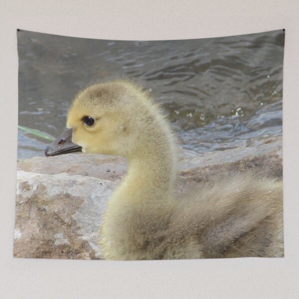 Item preview, Adorable Gosling designed and sold by Susie Kramer.