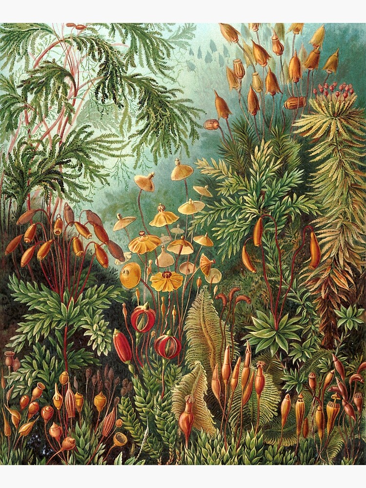 "Vintage Plants Decorative Nature Painting Illustration Artwork
