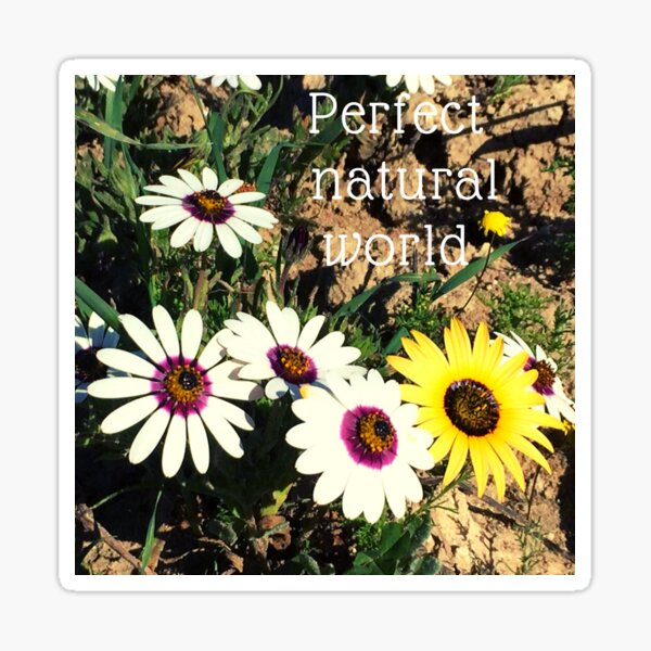 Perfect Natural World Sticker