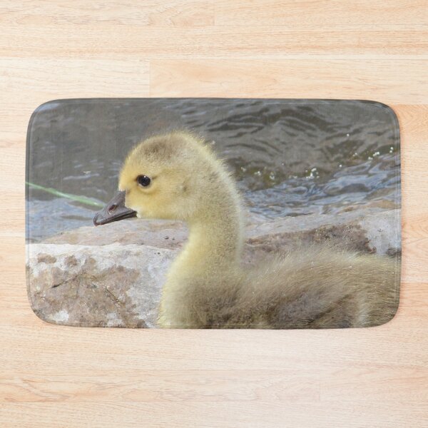 Item preview, Adorable Gosling designed and sold by Susie Kramer.