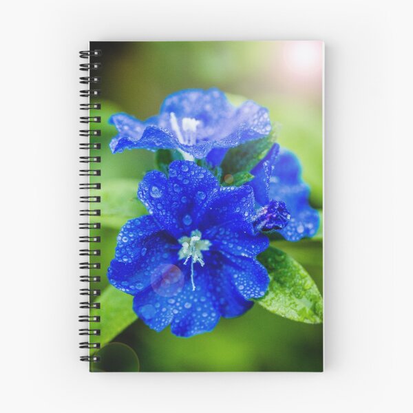 Item preview, Evolvulus Blue Eyes designed and sold by Keith's Photo Artistry.