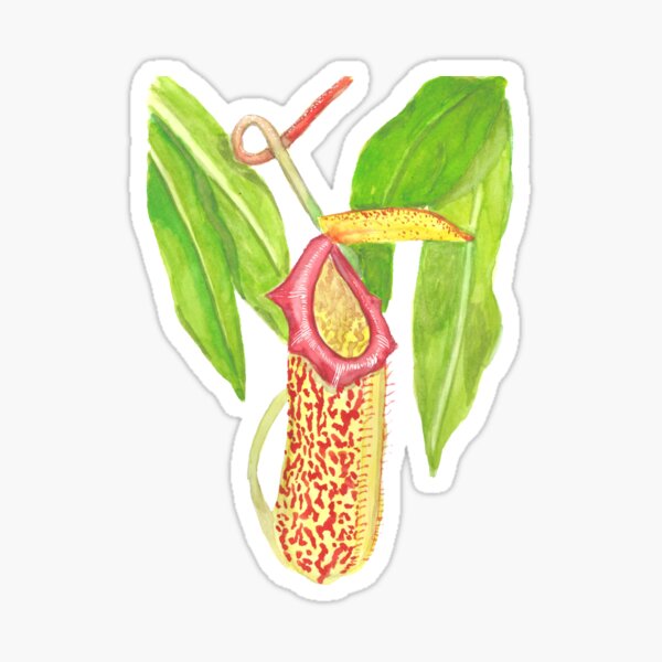 Plante carnivore Sticker