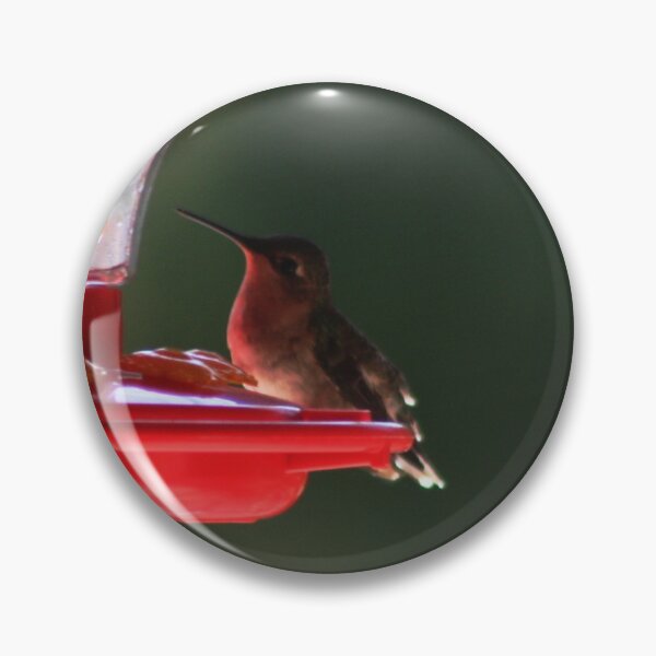 Item preview, Hummingbird designed and sold by Speckle.