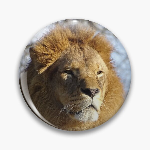 Item preview, Magnificent lion designed and sold by Catavan.