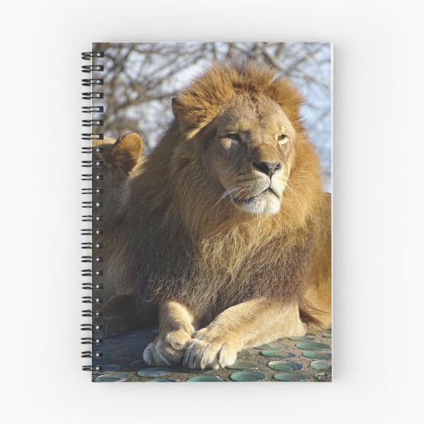 Aperçu de l'œuvre Magnifique lion créée et vendue par Catavan.