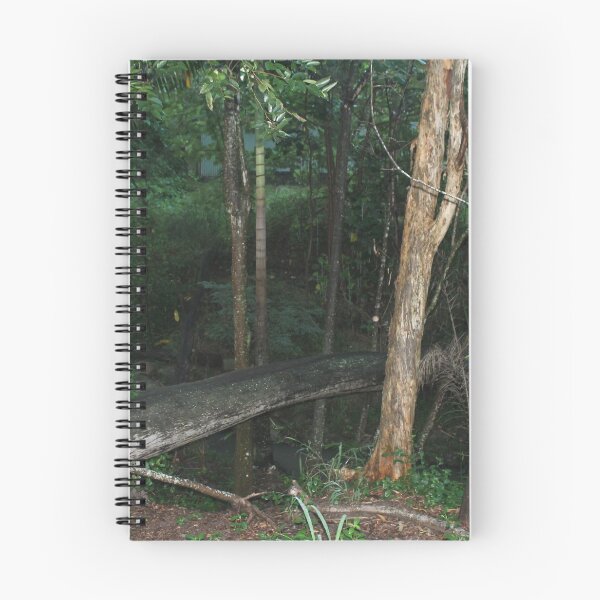 Item preview, Natural Bridge designed and sold by loulouhere.