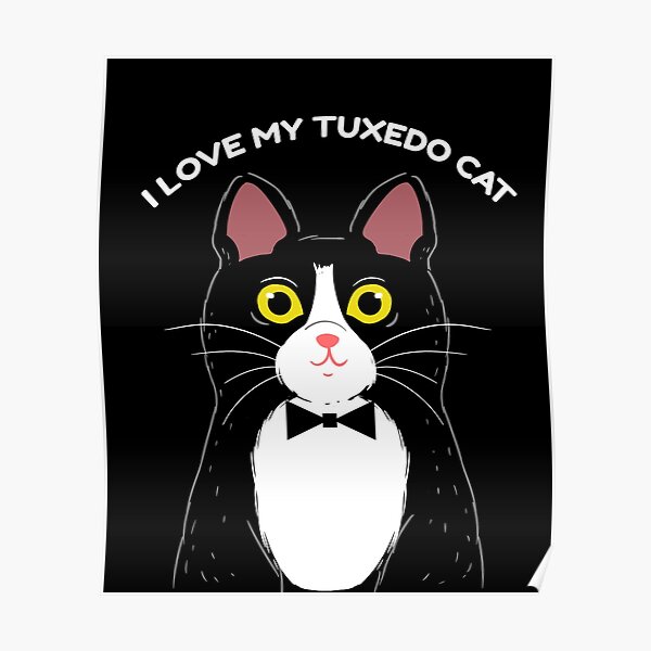 I Love My Tuxedo Cat Poster