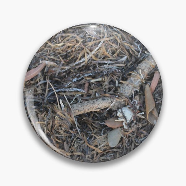 Item preview, Seaweed and driftwood designed and sold by loulouhere.