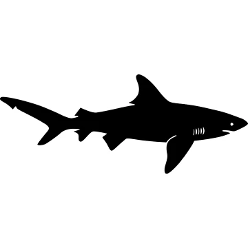 Artwork thumbnail, Shark Shadow by Visualsplendors