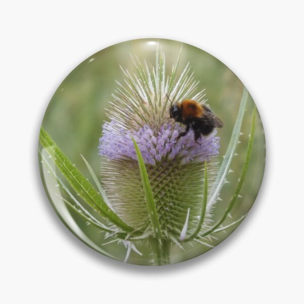 Item preview, Beautiful bee on purple thistle designed and sold by derbyshireduck.