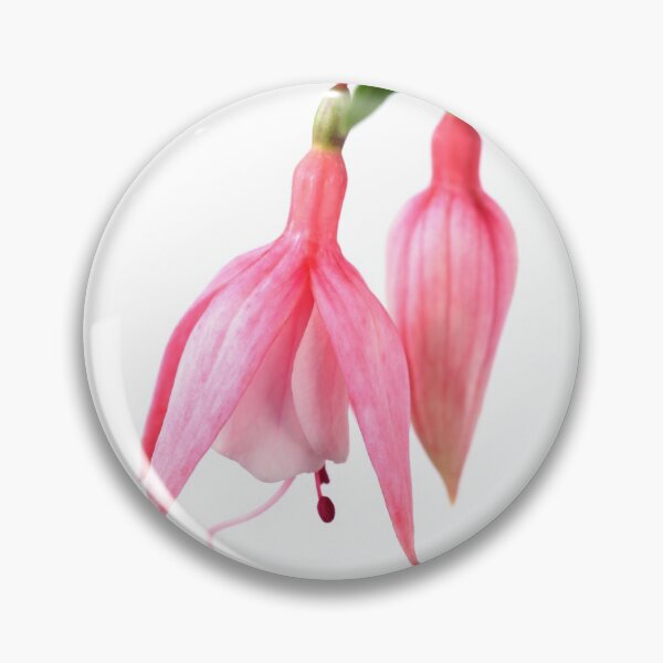 Item preview, Fuchsia  'Miss California'   designed and sold by Chris Burrows.