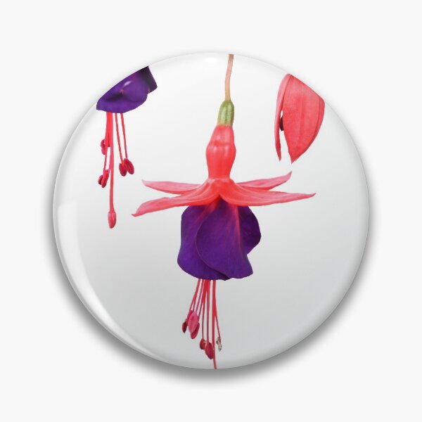 Item preview, Fuchsia  FuchsiaBerry designed and sold by Chris Burrows.