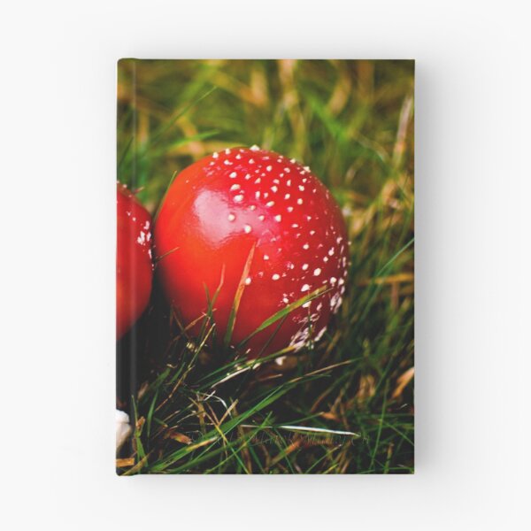 Item preview, Amanita muscaria - "Brothers" designed and sold by MarekM.
