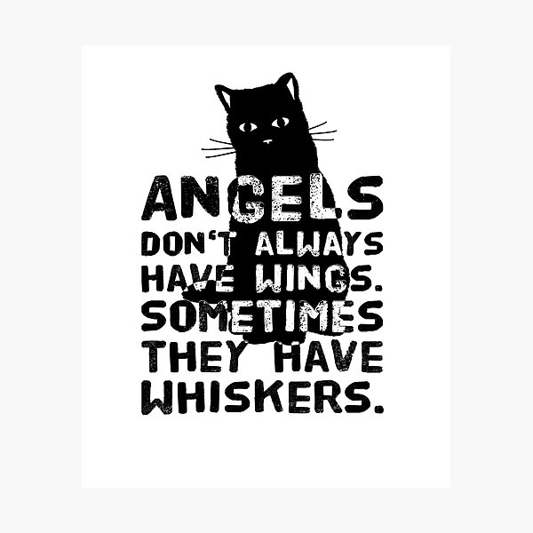 Cats are angels without wings with whiskers Photographic Print