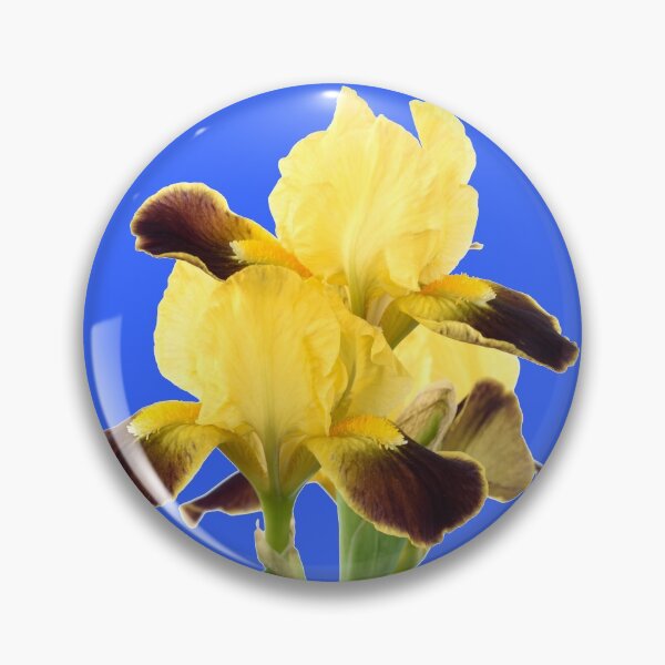 Item preview, Bearded iris designed and sold by Chris Burrows.