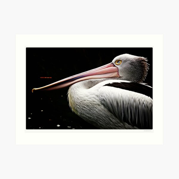Wake Me For Dinner Art Print
