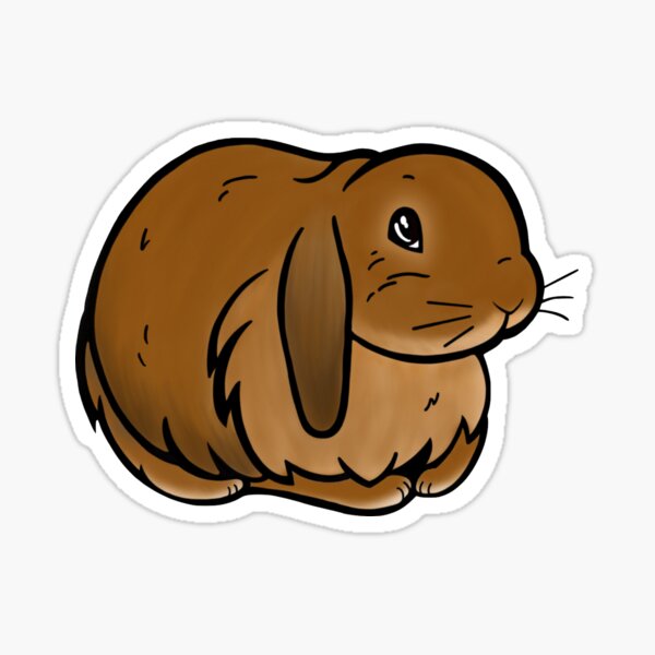 Holland Lop Rabbit Sticker