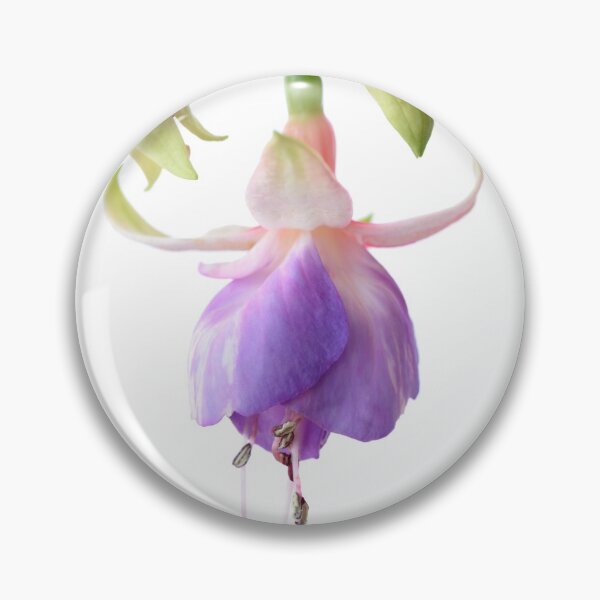 Item preview, Fuchsia  'Prince George'  designed and sold by Chris Burrows.