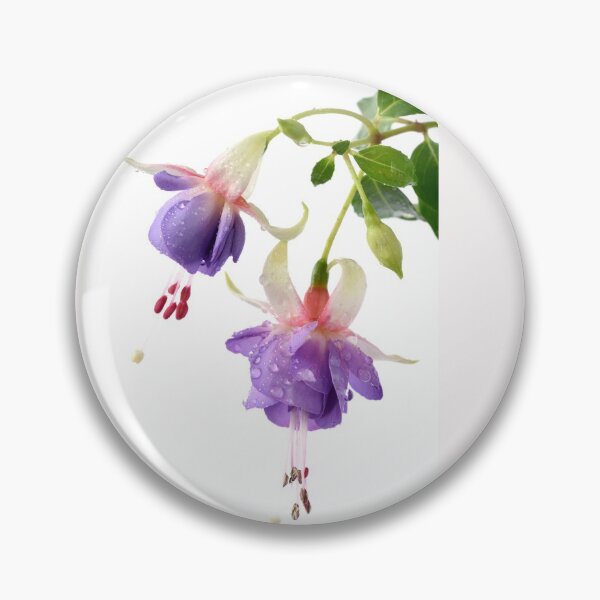Item preview, Fuchsia 'Prince George' designed and sold by Chris Burrows.