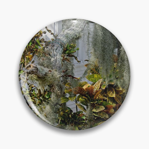 Item preview, Between the Spanish Moss designed and sold by John  Kapusta.
