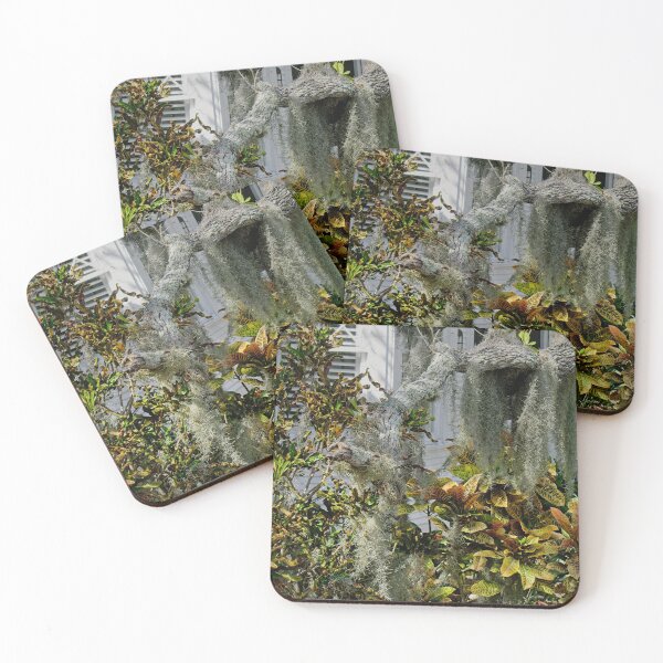Item preview, Between the Spanish Moss designed and sold by John  Kapusta.